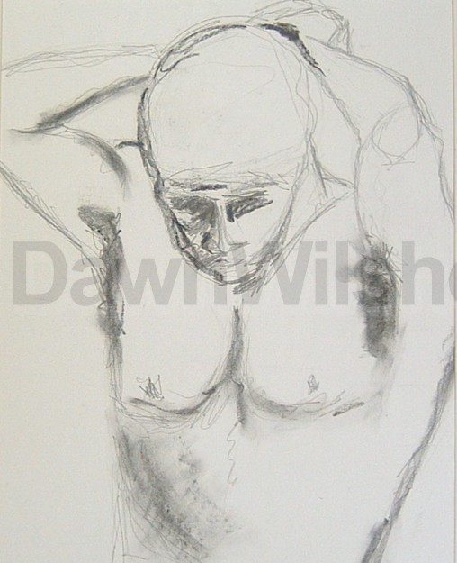 The Swimmer